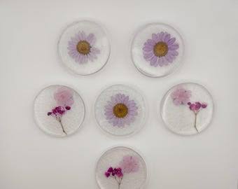 Pressed Petal Magnet Set