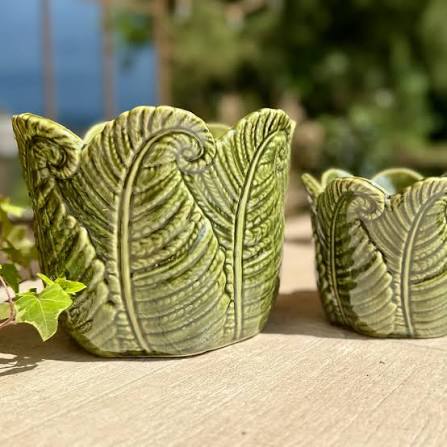 Fern Green Cachepot