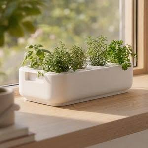 Kitchen Herb Trough