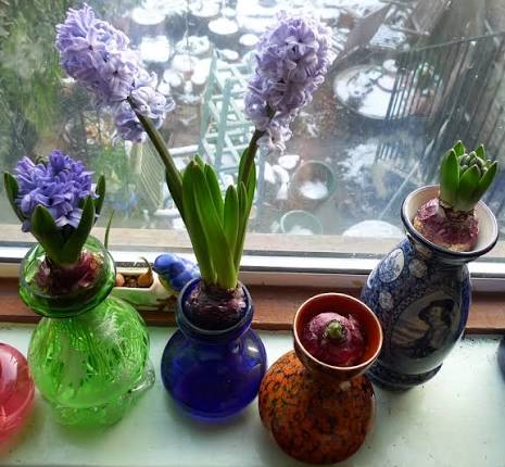 Spring Bulb Vase