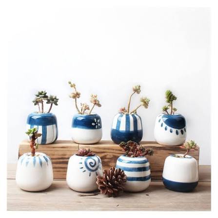 Seedling Pot Set