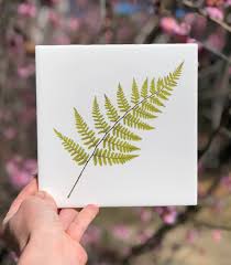 Pressed Fern Wall Tile