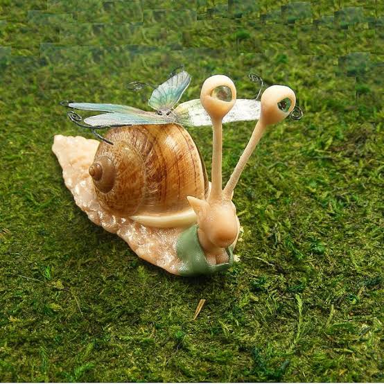 Garden Snail