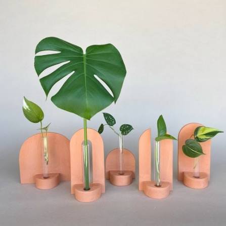 Propagation Root Vase